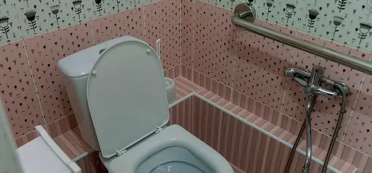 Meeting Diverse Needs With Accessible Restroom Solutions in Plainfield, IL